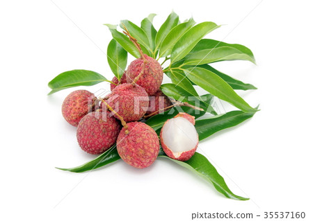 lychee fruit peeled to show the flesh white. lychee fruit peeled to show the flesh white. 35537160