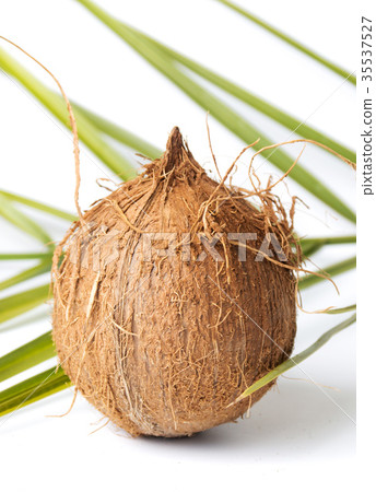 Whole coconuts and leaves on white Whole coconuts and leaves on white 35537527
