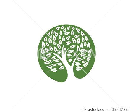 family tree symbol icon logo design family tree symbol icon logo design 35537851