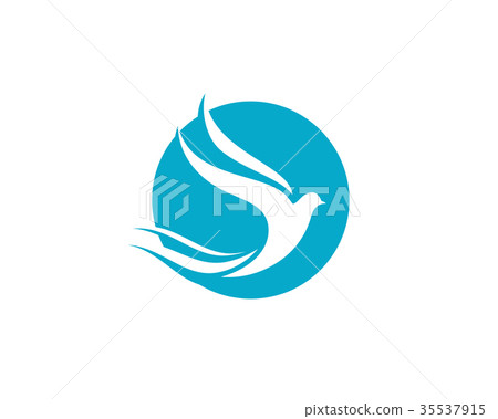 Bird wing Dove Logo Template 35537915