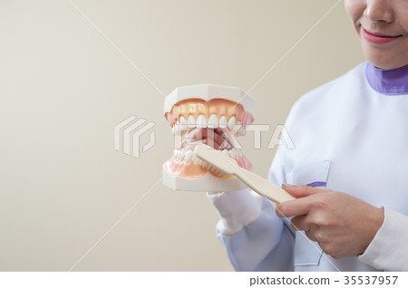 Female patient with dental checkup Female patient with dental checkup 35537957