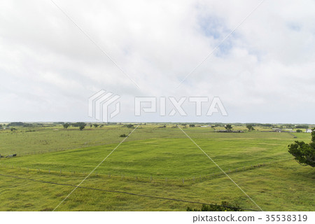Scenery of Kuroshima (Taketomi-cho, Okinawa Prefecture) 35538319