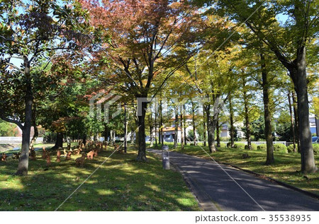 Kasugai shi Fureai green road Kasugai shi Fureai green road 35538935
