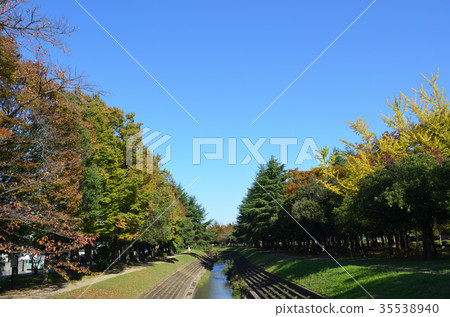 Kasugai shi Fureai green road Kasugai shi Fureai green road 35538940