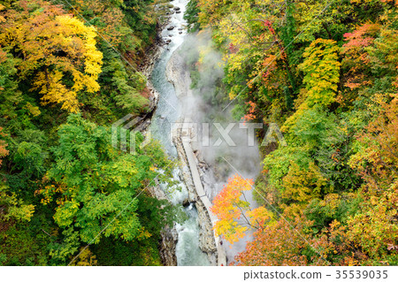 Koankyo of autumn leaves Akita 35539035