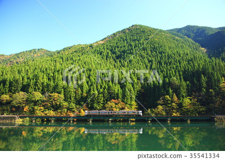 Takayama Main Line of autumn leaves Takayama Main Line of autumn leaves 35541334