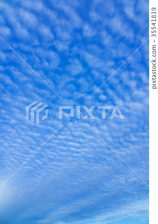 November sky and clouds (clouds) 35541819