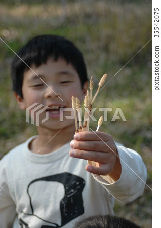 馬尾的男孩 35542075
