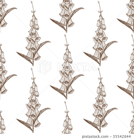 Foxglove Seamless Hand-Drawn Pattern 35542844