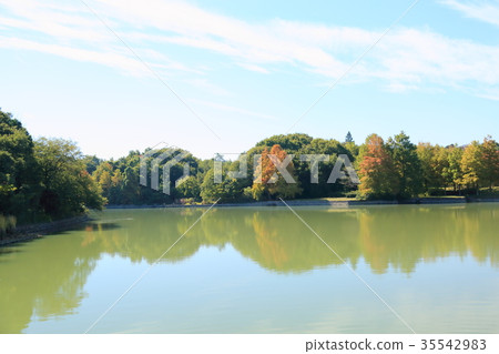 秋天的公園 35542983