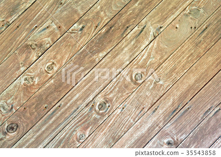 Hinoki cypress background material Hinoki cypress background material 35543858