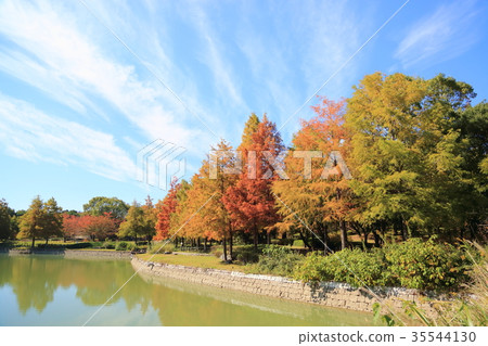 秋天公園lakushou秋葉 秋天公園lakushou秋葉 35544130