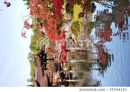 Torakeizan Eho-ji寺廟在秋天 Torakeizan Eho-ji寺廟在秋天 35544141