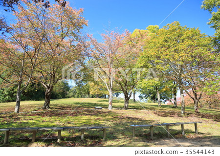 秋天的公園 秋天的公園 35544143