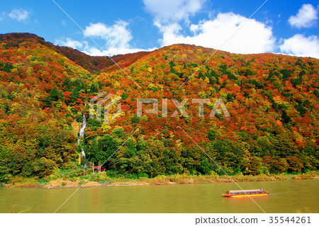 The autumnal leaves of the narrowest top The autumnal leaves of the narrowest top 35544261