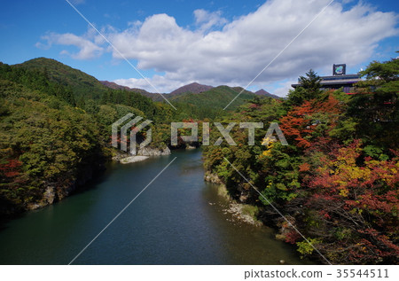鬼怒川河的秋葉 35544511