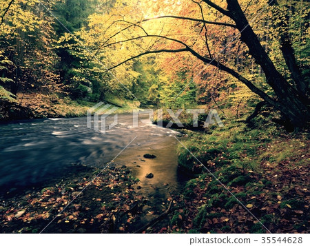 Vivid autumn. Colors of autumnal river in forest. Vivid autumn. Colors of autumnal river in forest. 35544628