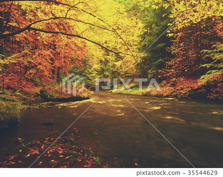 Autumn colorful forest above mountain river. Autumn colorful forest above mountain river. 35544629