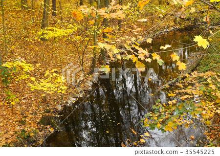 Autumn Landscape with a Creek. View from Above. Autumn Landscape with a Creek. View from Above. 35545225