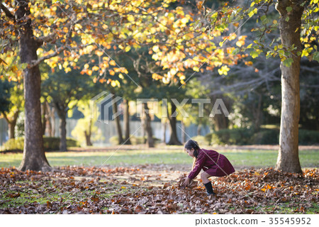 女孩玩落葉 35545952