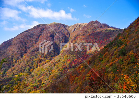 The view seen from Sanpeisan Odairayama observation deck 2017 autumn Autumn leaves The view seen from Sanpeisan Odairayama observation deck 2017 autumn Autumn leaves 35546606