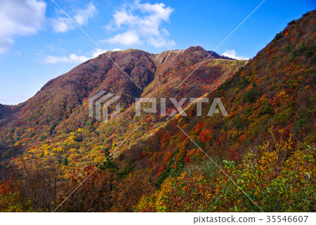 The view seen from Sanpeisan Odairayama observation deck 2017 autumn Autumn leaves 35546607