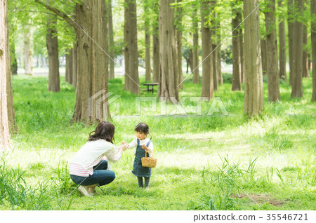 父母和孩子在公園玩耍 父母和孩子在公園玩耍 35546721