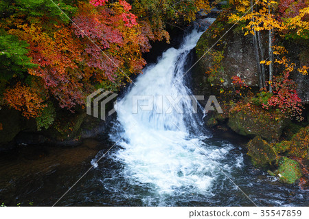 [Autumn leaves look] Ryuto no taki Ryuto no taki (Ryuto no taki Ryuto no taki) of autumn leaves (Ryuto no tea house, observation tower) 35547859