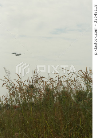 Airplane landing Background shot and Green Grass Airplane landing Background shot and Green Grass 35548118