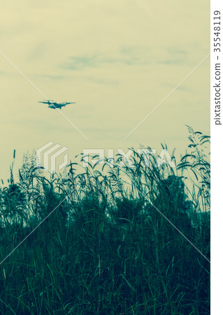 Airplane landing Background shot and Green Grass Airplane landing Background shot and Green Grass 35548119