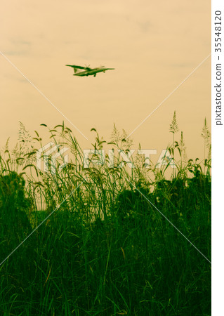 Airplane landing Background shot and Green Grass Airplane landing Background shot and Green Grass 35548120