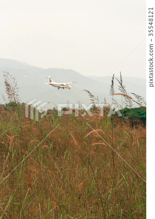 Airplane landing Background shot and Green Grass Airplane landing Background shot and Green Grass 35548121