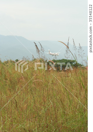 Airplane landing Background shot and Green Grass Airplane landing Background shot and Green Grass 35548122