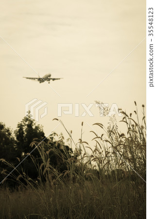 Airplane landing Background shot and Green Grass Airplane landing Background shot and Green Grass 35548123