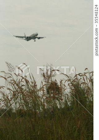 Airplane landing Background shot and Green Grass Airplane landing Background shot and Green Grass 35548124