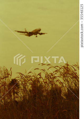 Airplane landing Background shot and Green Grass Airplane landing Background shot and Green Grass 35548125