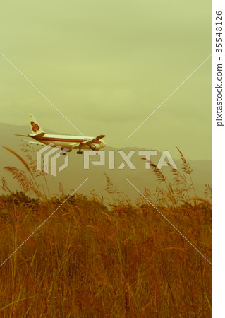 Airplane landing Background shot and Green Grass  35548126