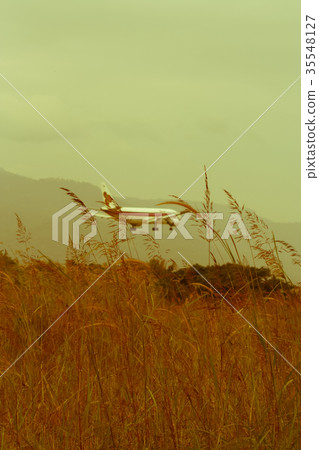 Airplane landing Background shot and Green Grass Airplane landing Background shot and Green Grass 35548127