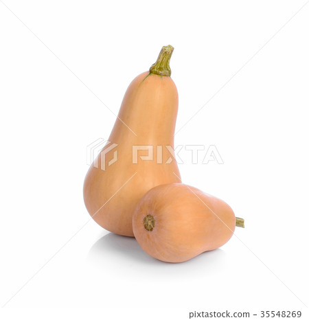Butternut squash isolated on white background Butternut squash isolated on white background 35548269