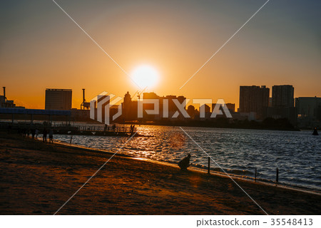 Odaiba Beach 35548413