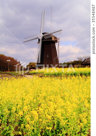 強姦開花在Tsurumi綠色空間（鶴見市，大阪市）風車小山 35548487