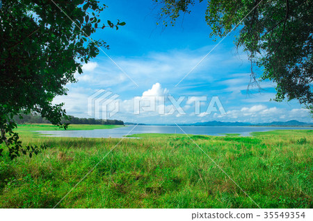 Sri Lanka Lake, Sri lanka landscape,  35549354