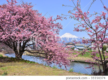 Scenery from the Wada Riverbank-223495 35550374