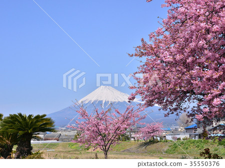 Scenery from Wada Riverbank-223497 Scenery from Wada Riverbank-223497 35550376