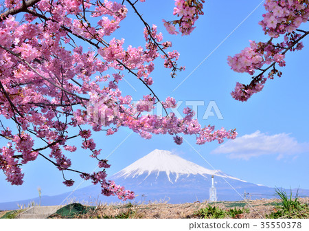 Spring scenery from Juni riverbank-223499 35550378