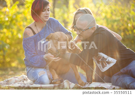 Beautiful gorgeous family of three playing in the Beautiful gorgeous family of three playing in the 35550511