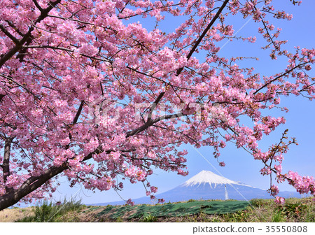 Spring scenery from Juni riverbank-223493 Spring scenery from Juni riverbank-223493 35550808