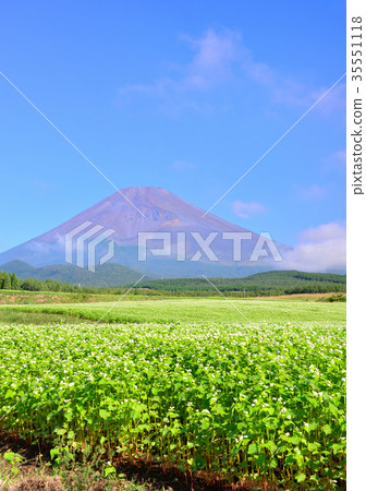 從Torigi-0879的初秋風景 35551118