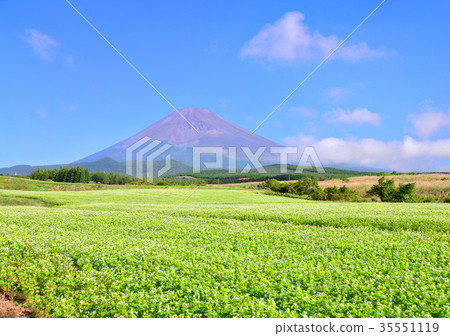 從Torigi-0881的初秋風景 35551119