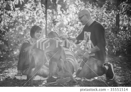 Beautiful gorgeous family of three playing in the 35551514